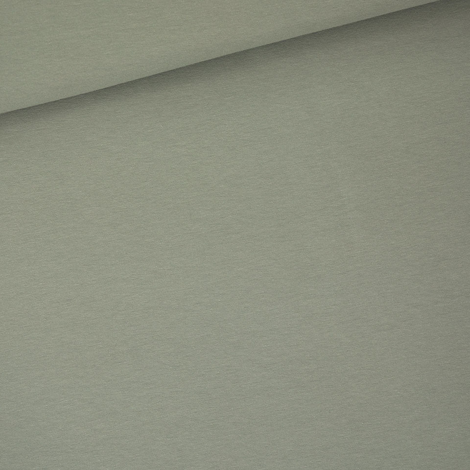 French Terry Solid, Seagrass Green