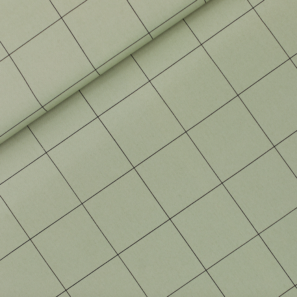Thin Grid XL Cotton Canvas Twill, Tea Green