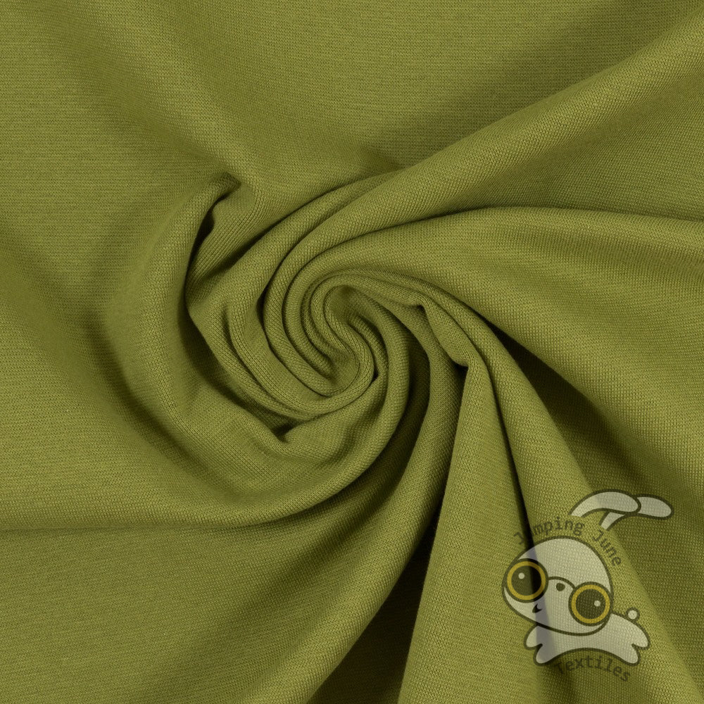 Olive Ribbing, 240 gsm
