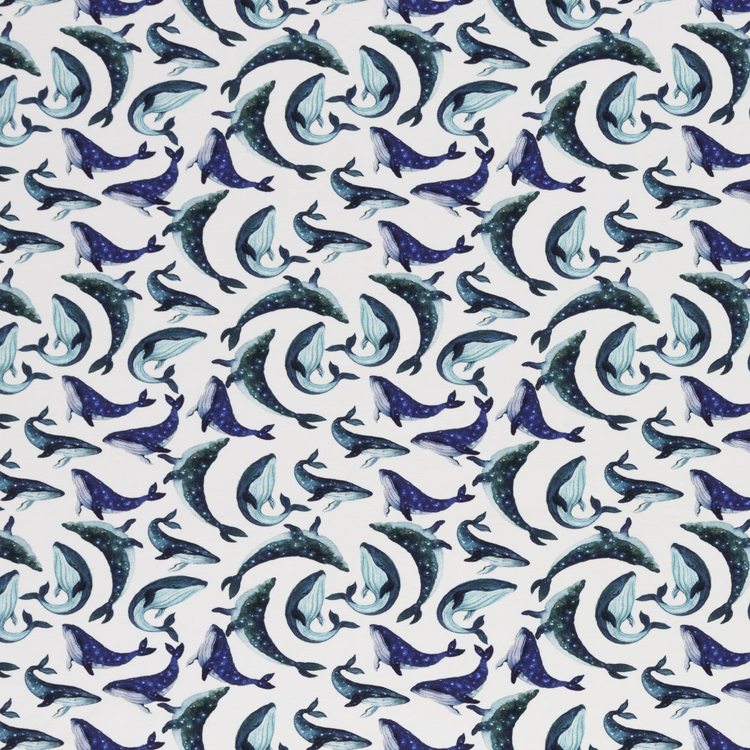 Small Whales Jersey
