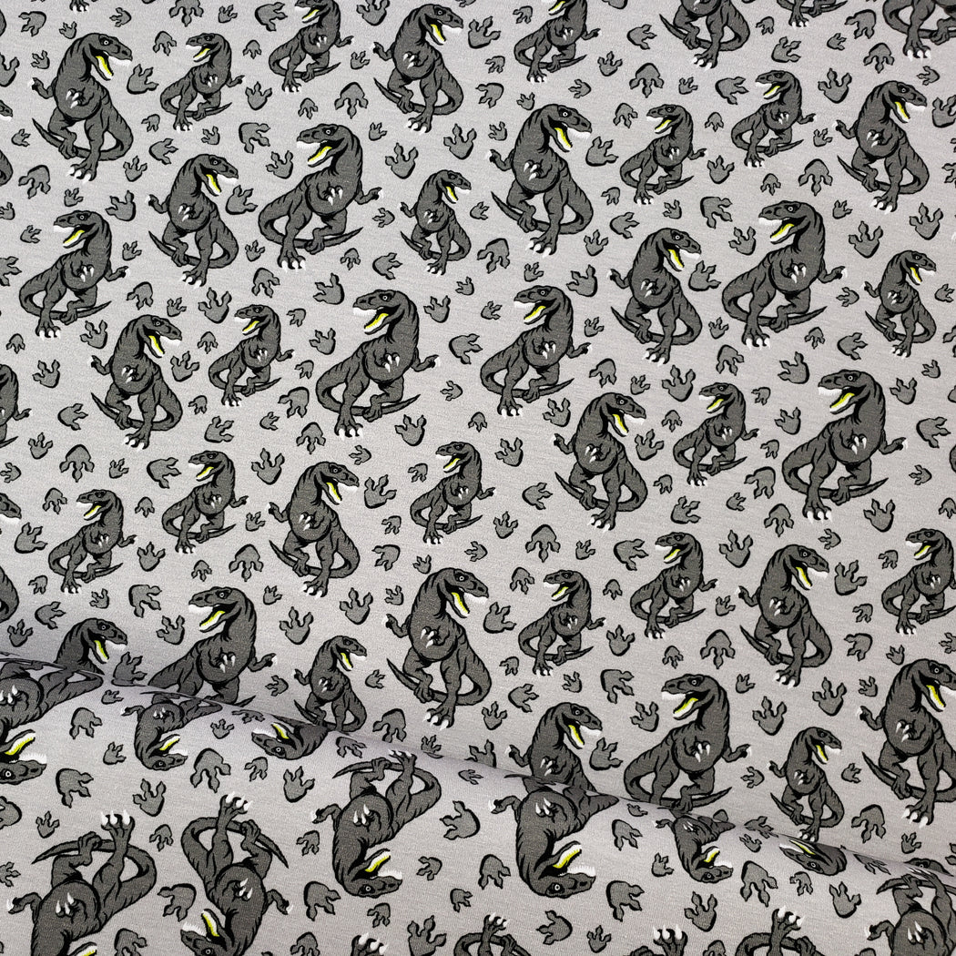 Steinbeck Small Dinos Jersey, Gray