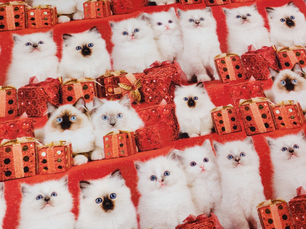 Kitties with Presents Organic Jersey