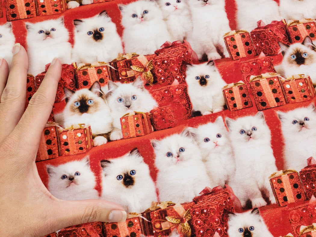 Kitties with Presents Organic Jersey