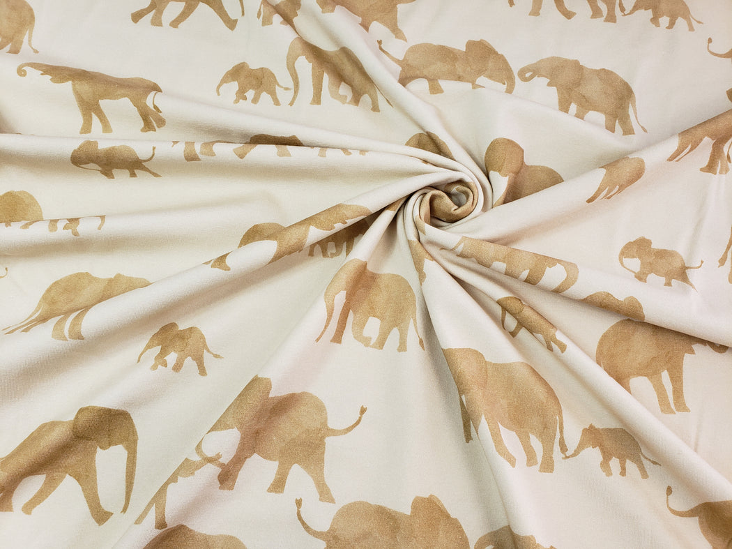 Elephants Jersey, Brazilian