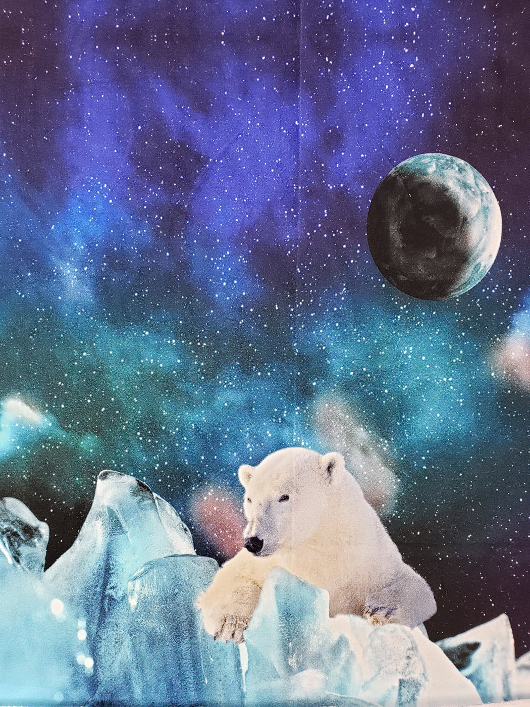 Arctic Exploration French Terry Rapport