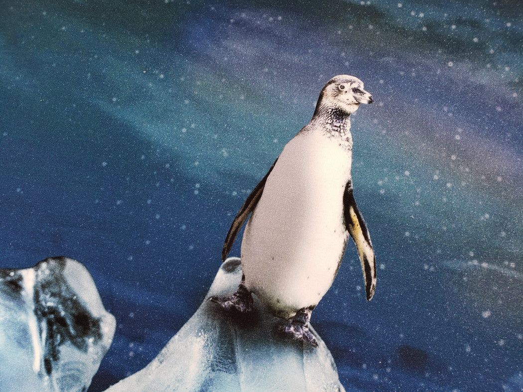 Arctic Exploration French Terry Rapport