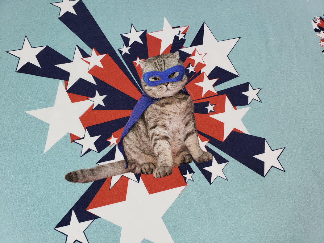 Super Cat Stretch French Terry Rapport, Light Blue