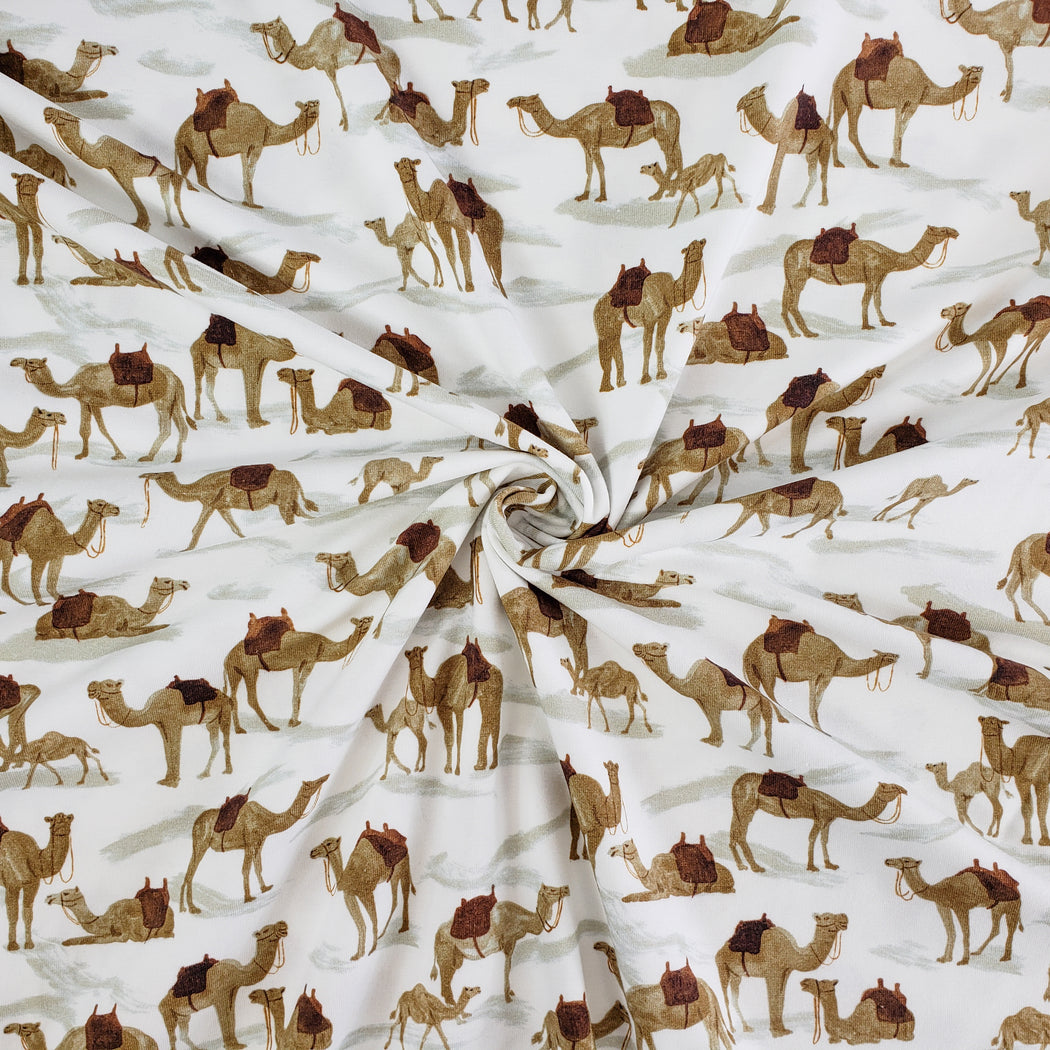 Camels Jersey