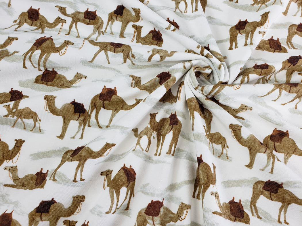Camels Jersey