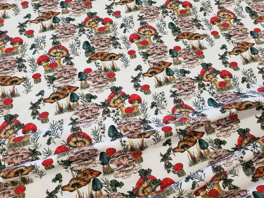 Mushroom and Spice and Everything Nice Organic Jersey