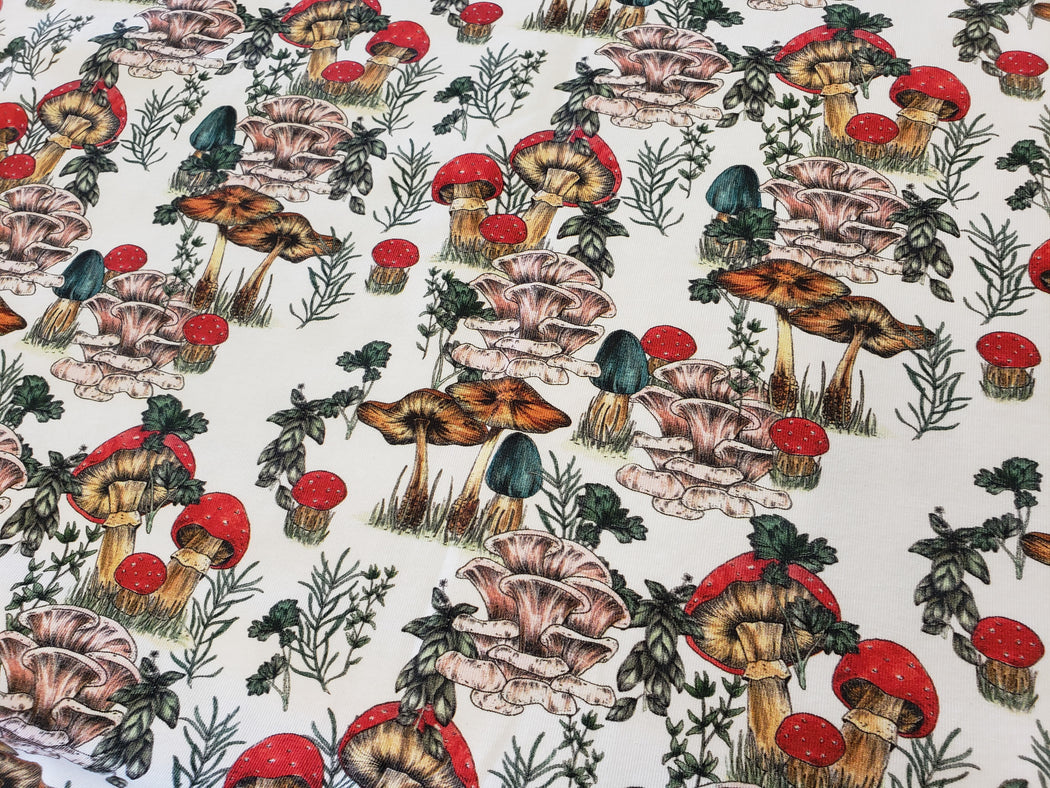 Mushroom and Spice and Everything Nice Organic Jersey