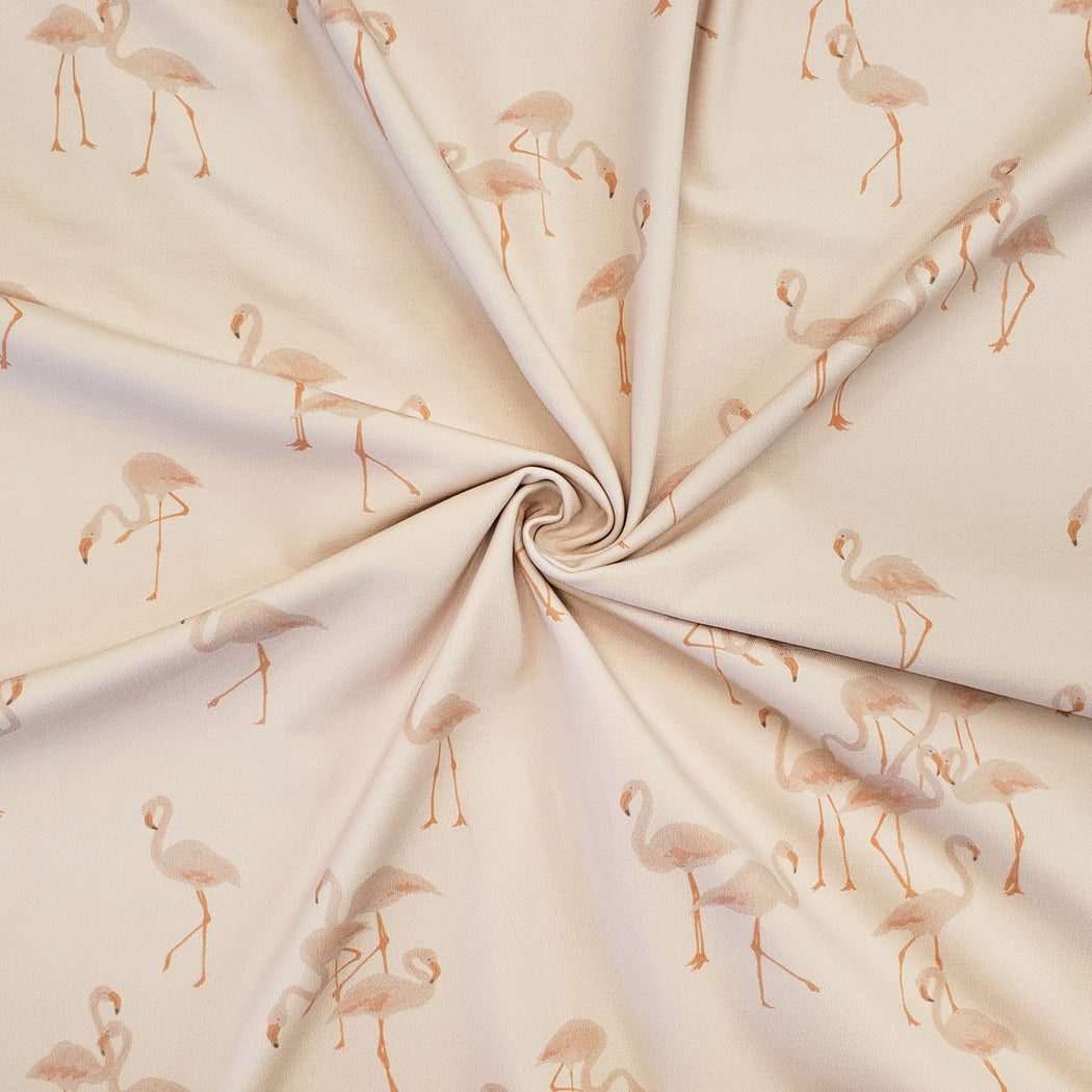Flamingos Peach Jersey