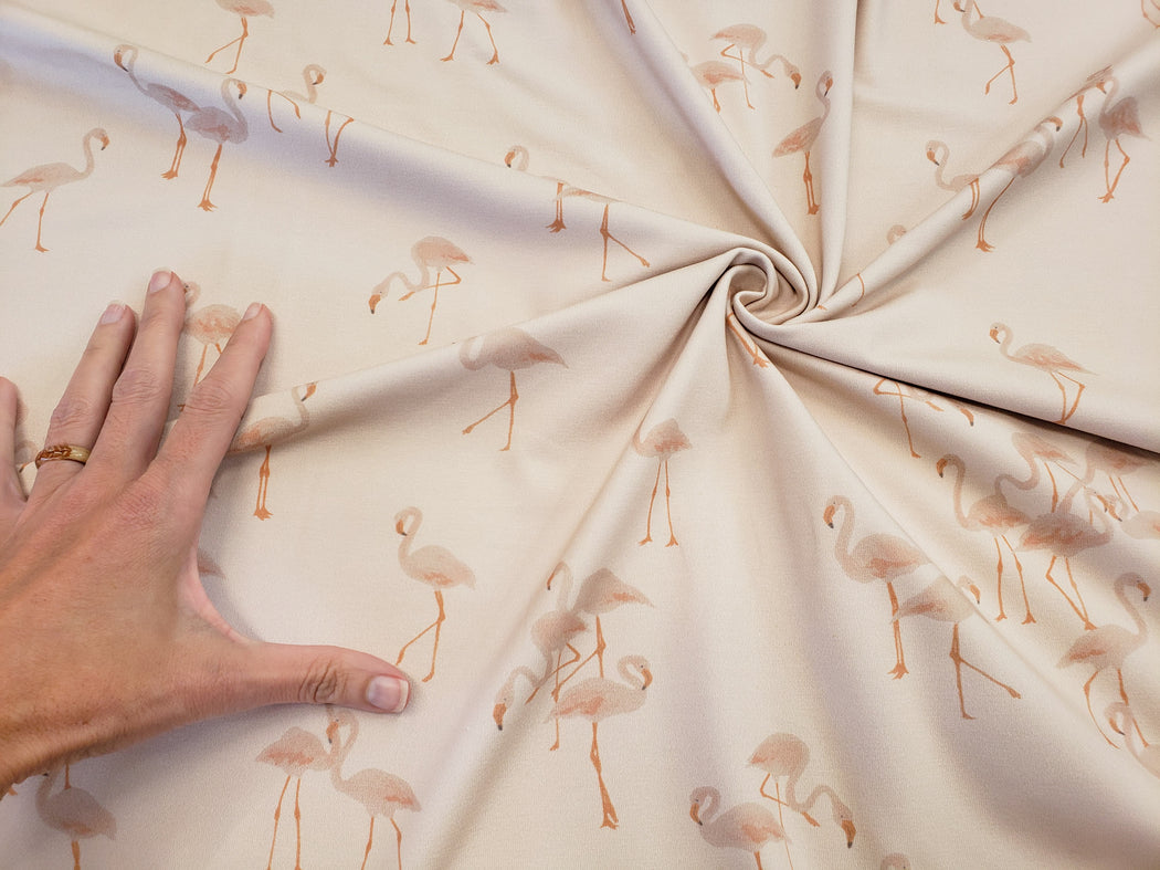 Flamingos Peach Jersey
