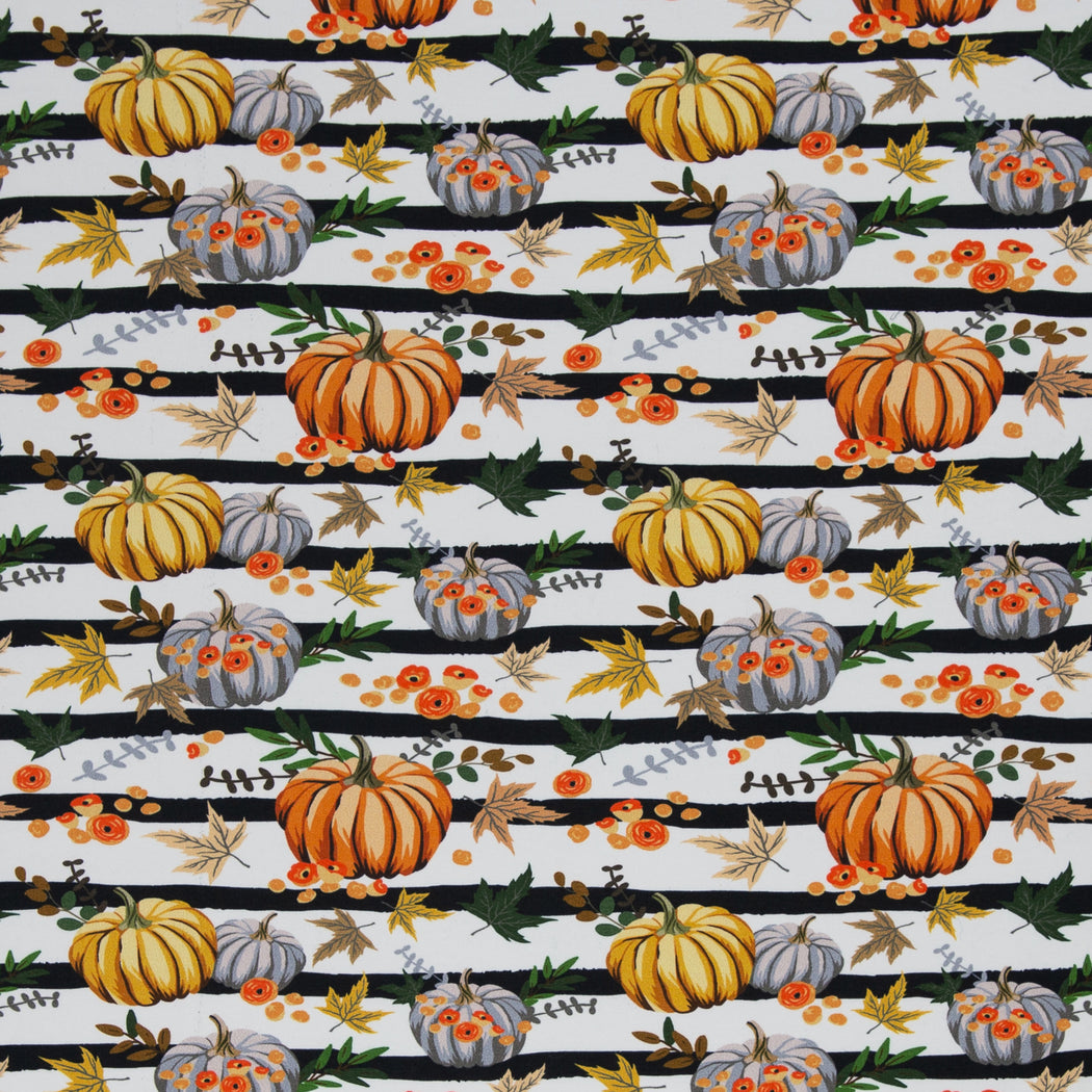 Basel Pumpkins Brushed French Terry