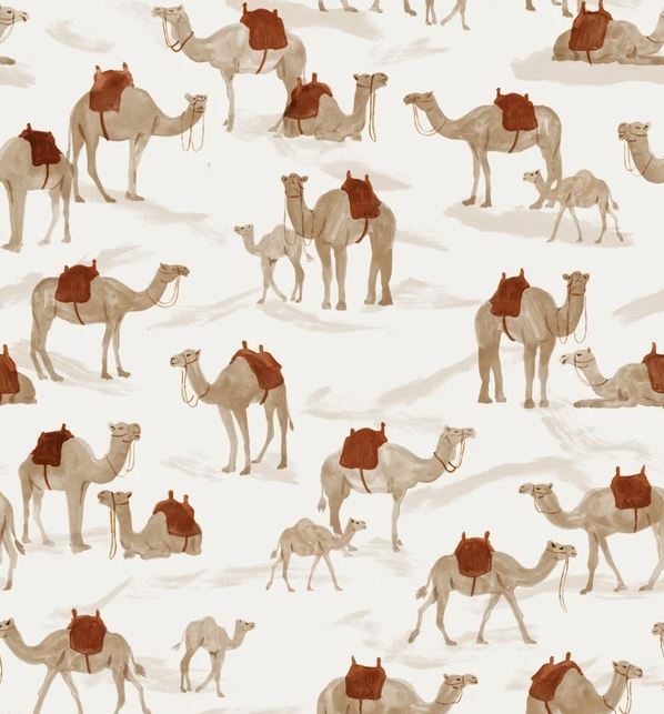 Camels Jersey