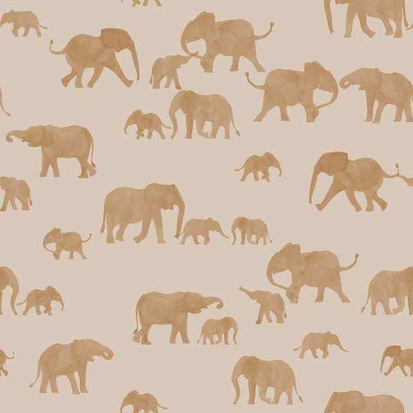 Elephants Jersey, Brazilian
