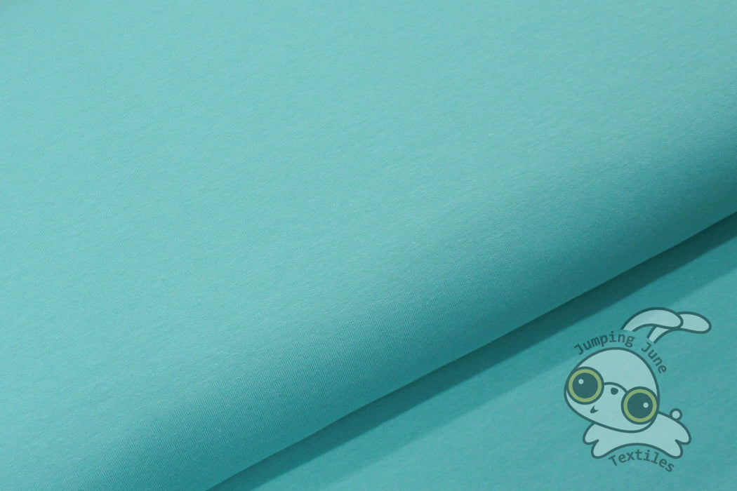 Mint Sweatshirt Fleece