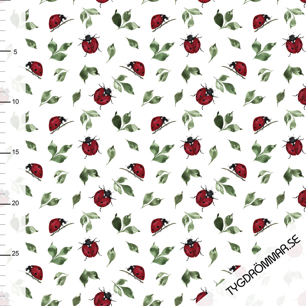 Ladybugs Organic Jersey