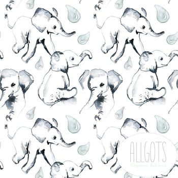 Allgots