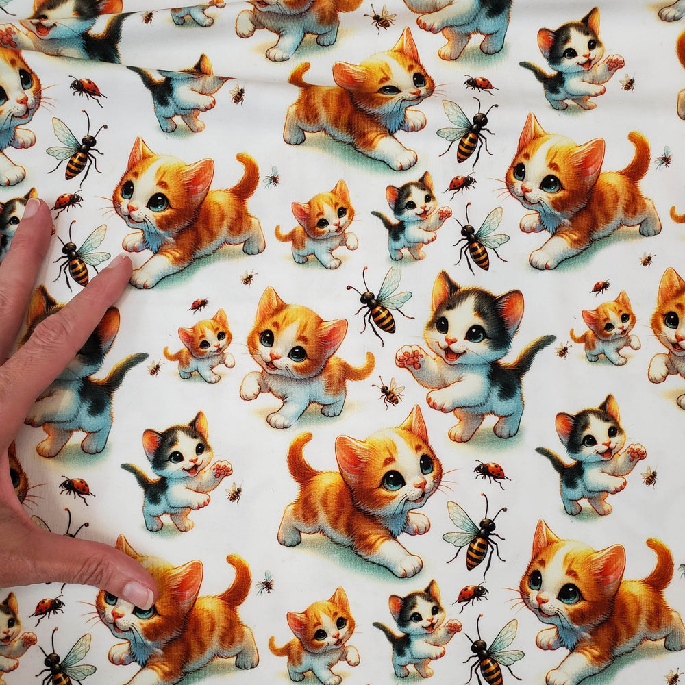 Playing Kittens Organic Jersey