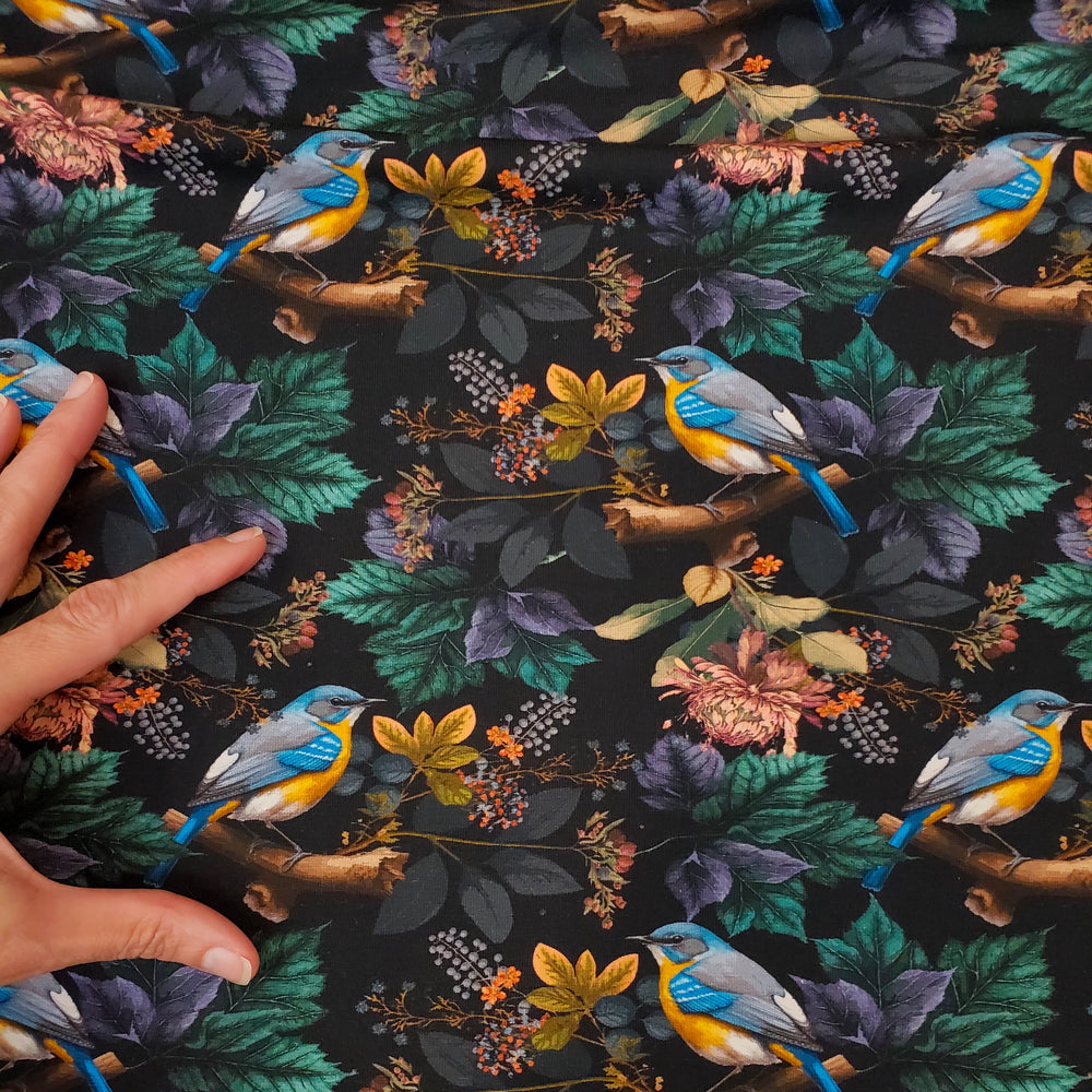 Birds in the Bush Organic Jersey