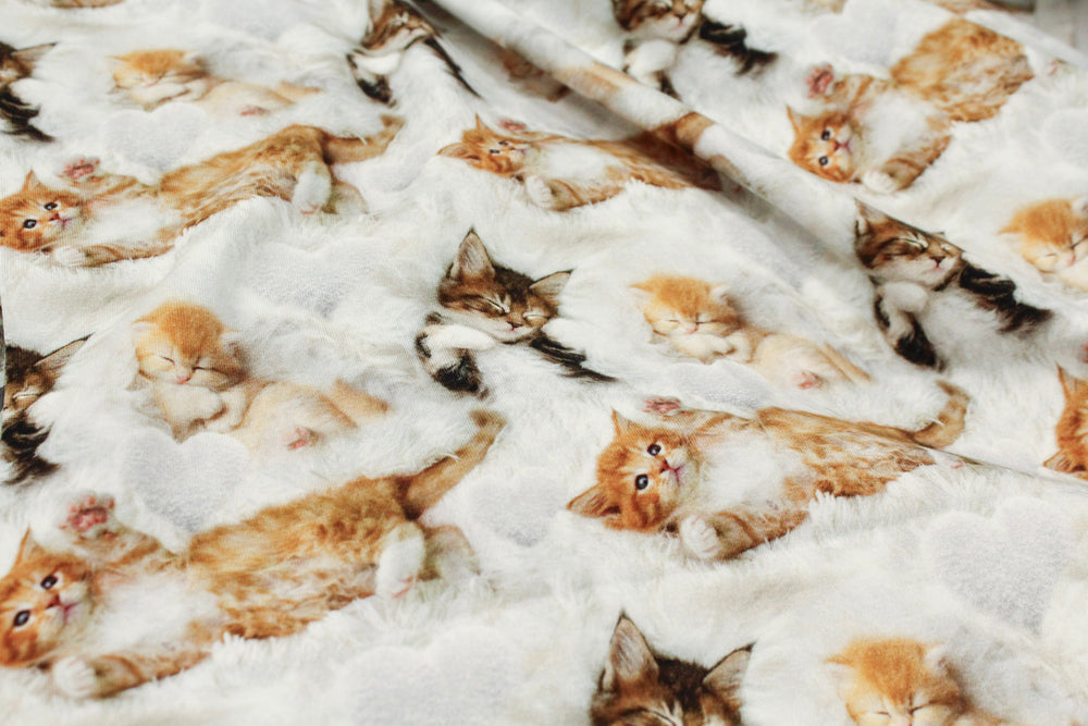 Sleepy Kittens Organic Jersey