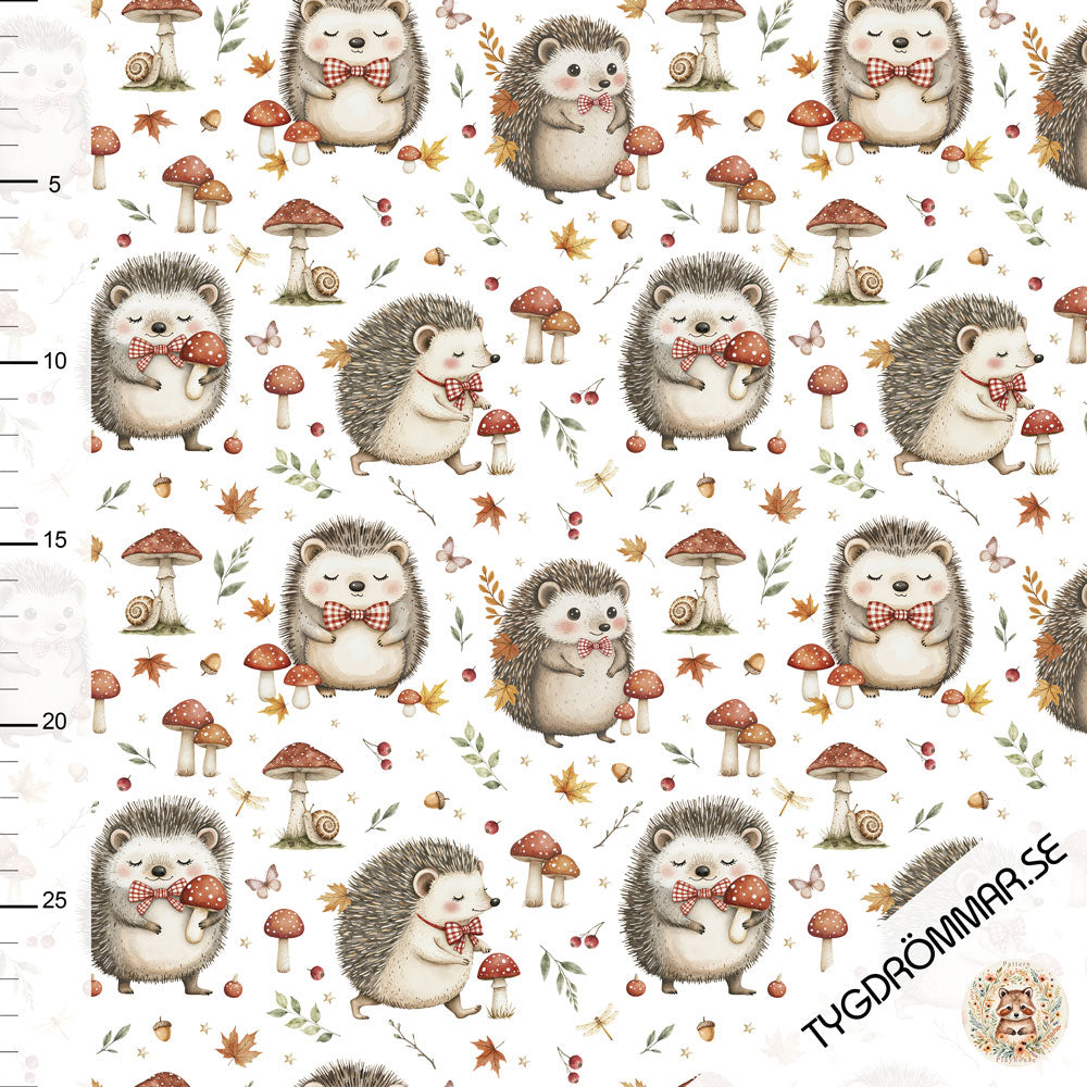 Fall Hedgehog Organic Jersey