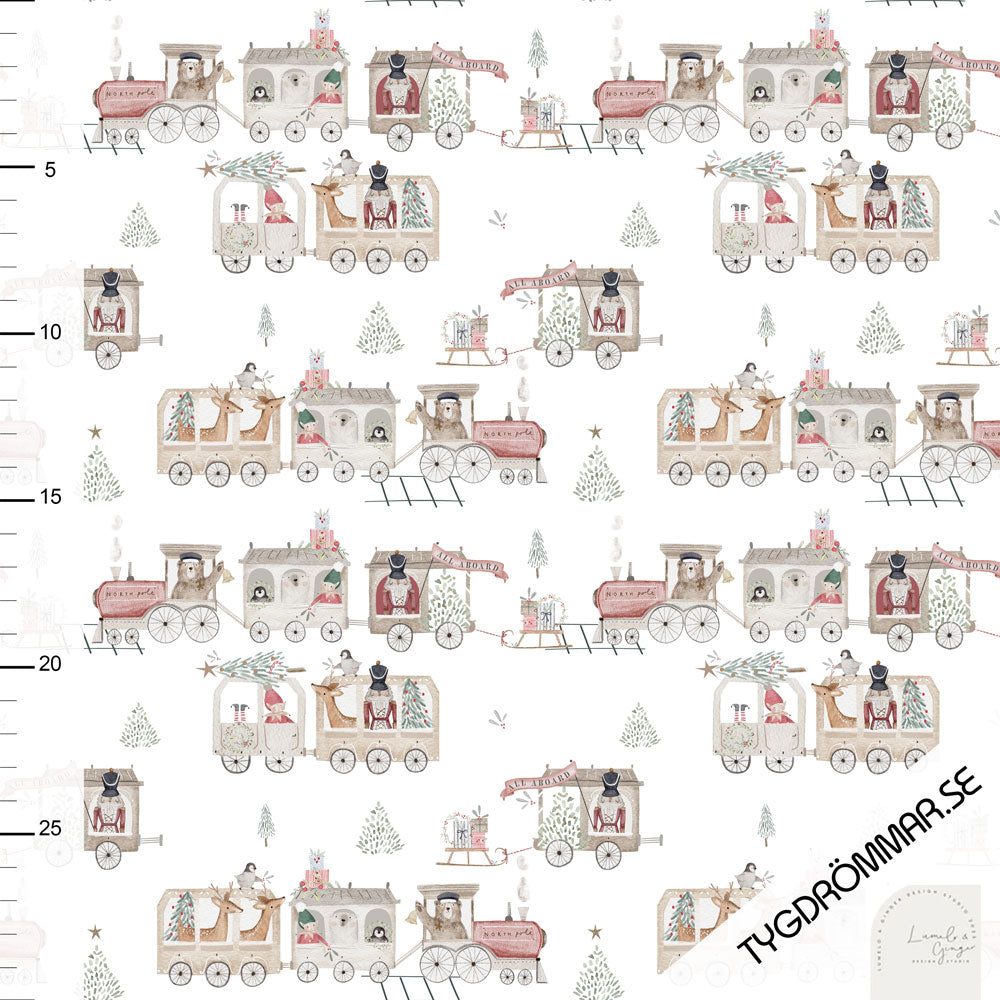 To The North Pole Organic Jersey