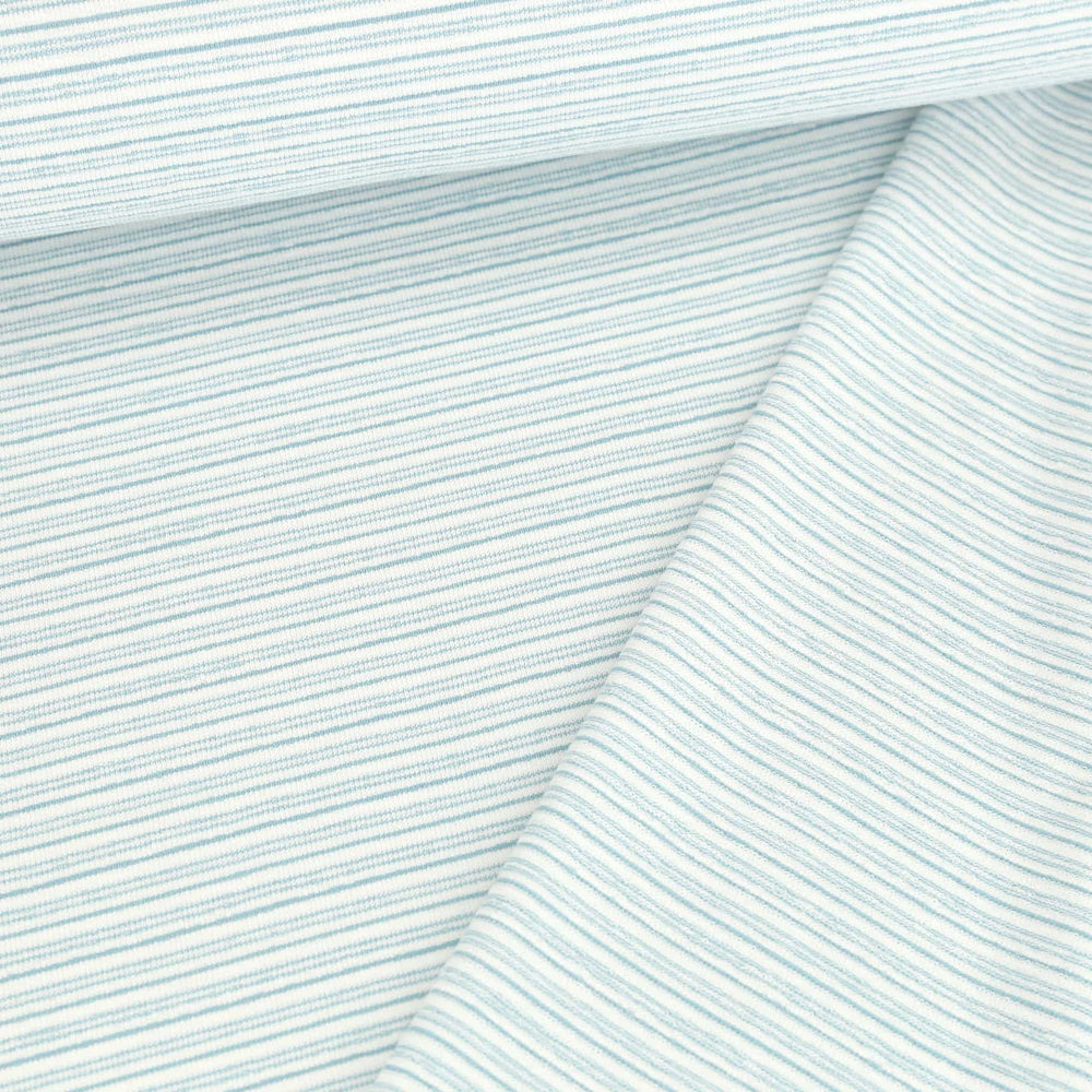 Yarn Dyed Stripes Blue Organic French Terry