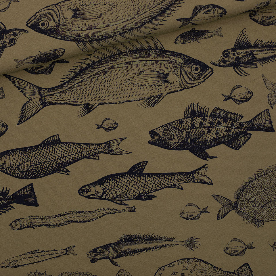 
            
                Load image into Gallery viewer, Fish Study French Terry, Olive Drab
            
        