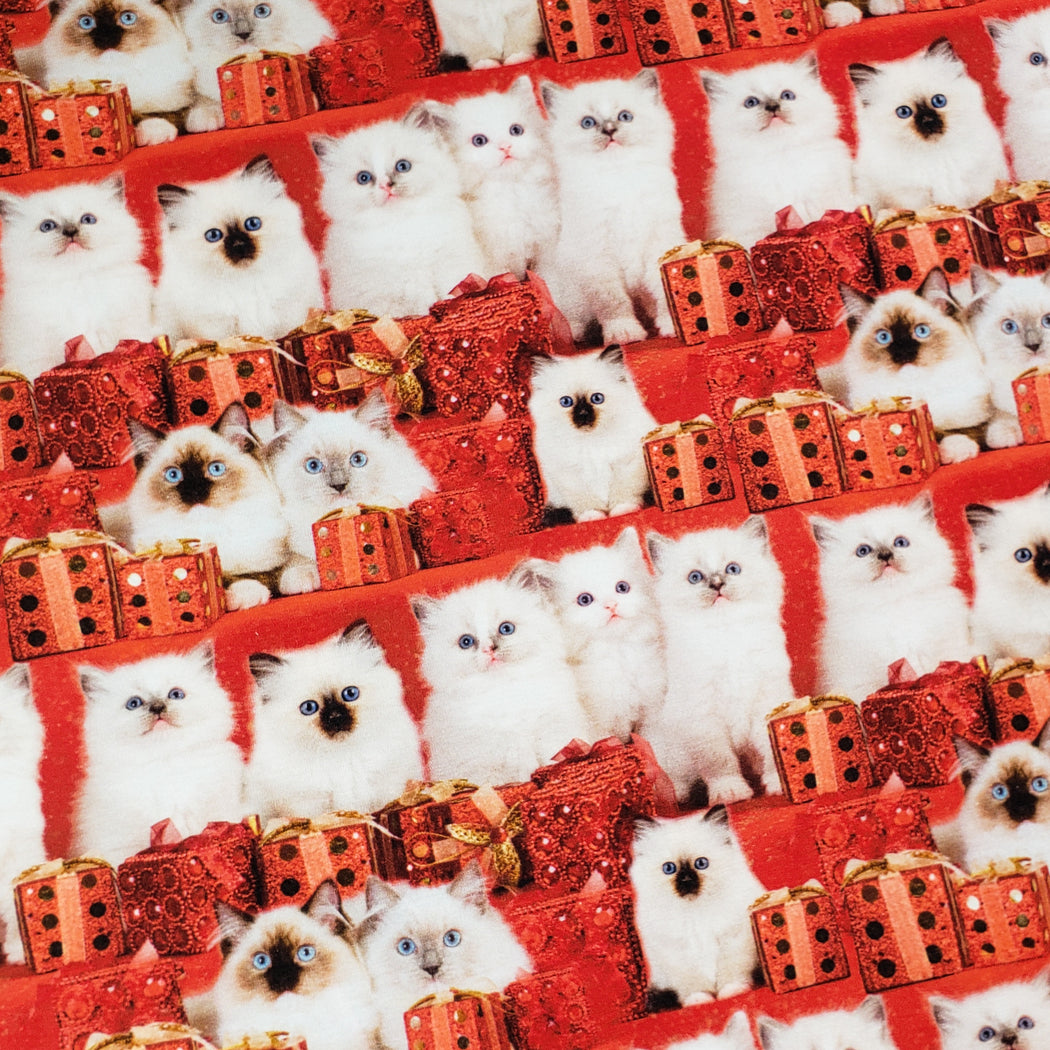 Kitties with Presents Organic Jersey