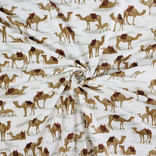 Camels Jersey