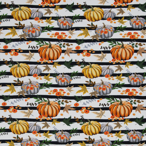 Basel Pumpkins Brushed French Terry