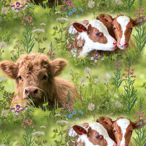 Cows in the Meadow Organic Jersey