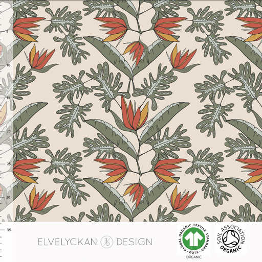 Exotic Organic Jersey, Cream