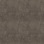 LeatherLook Organic Stretch French Terry, Putty by Astrokatze
