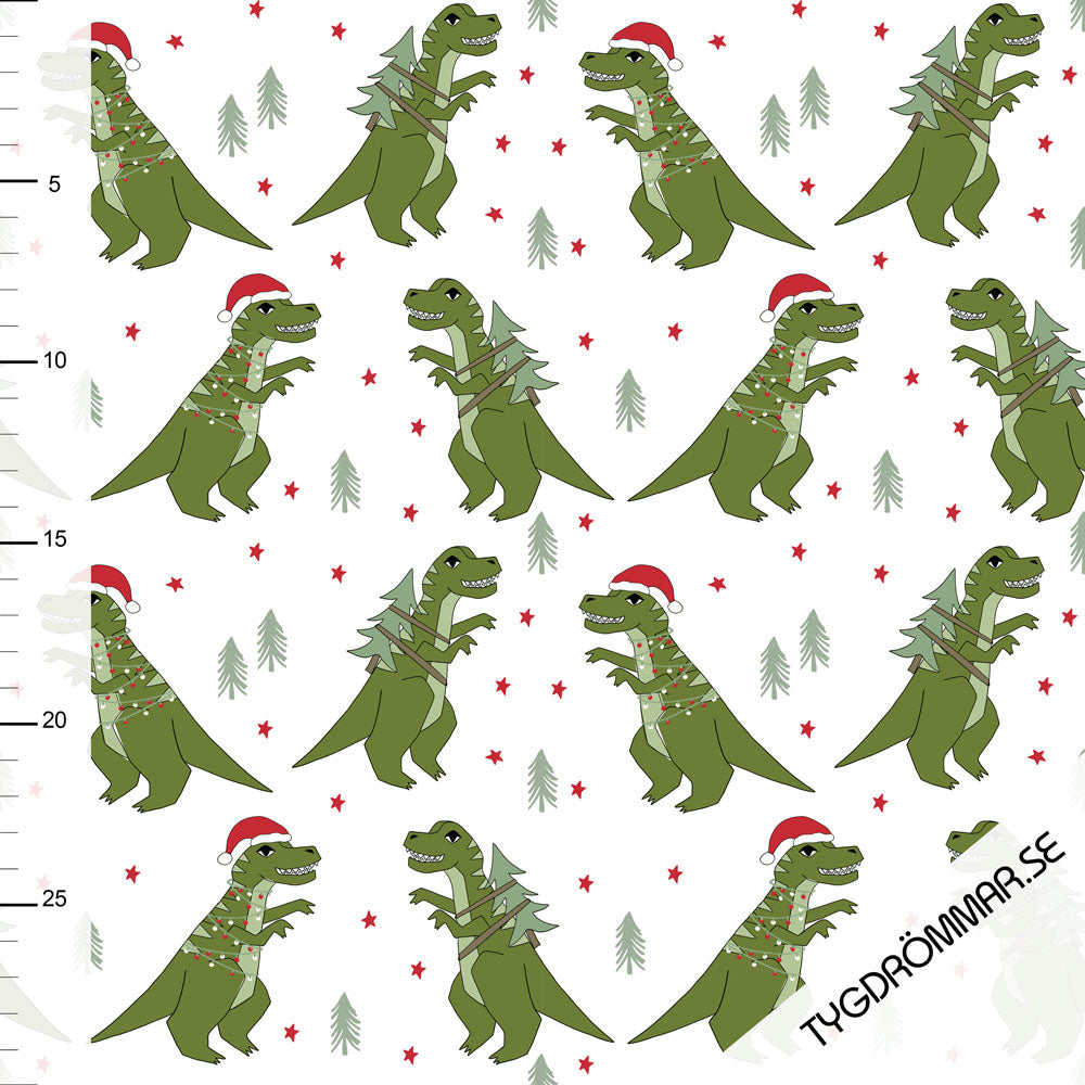 T Rex Santa Organic French Terry