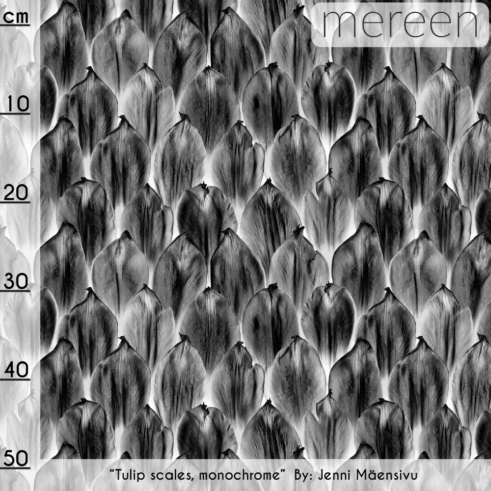 
            
                Load image into Gallery viewer, Tulip Scales Organic Stretch French Terry, Monochrome
            
        