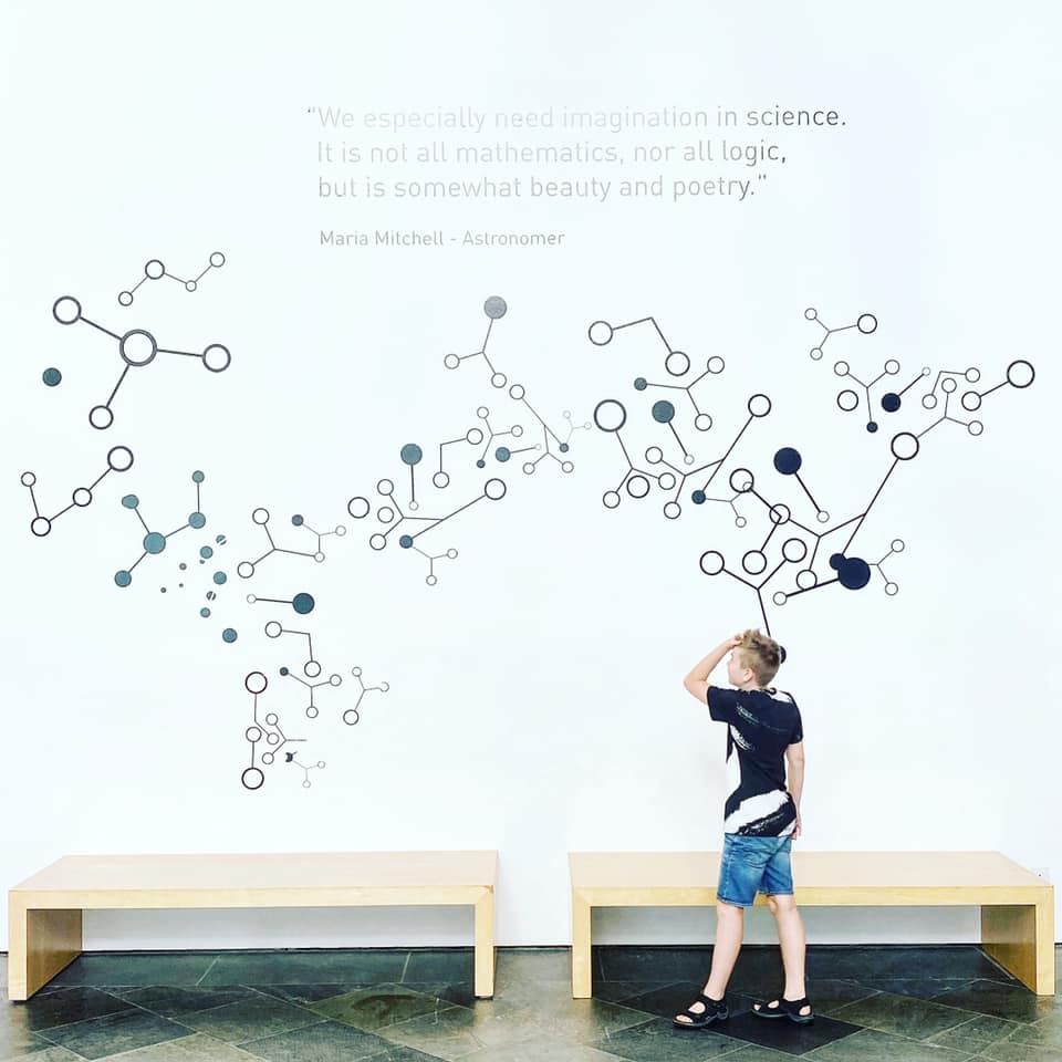 Van Allen Organic Jersey, Black-White