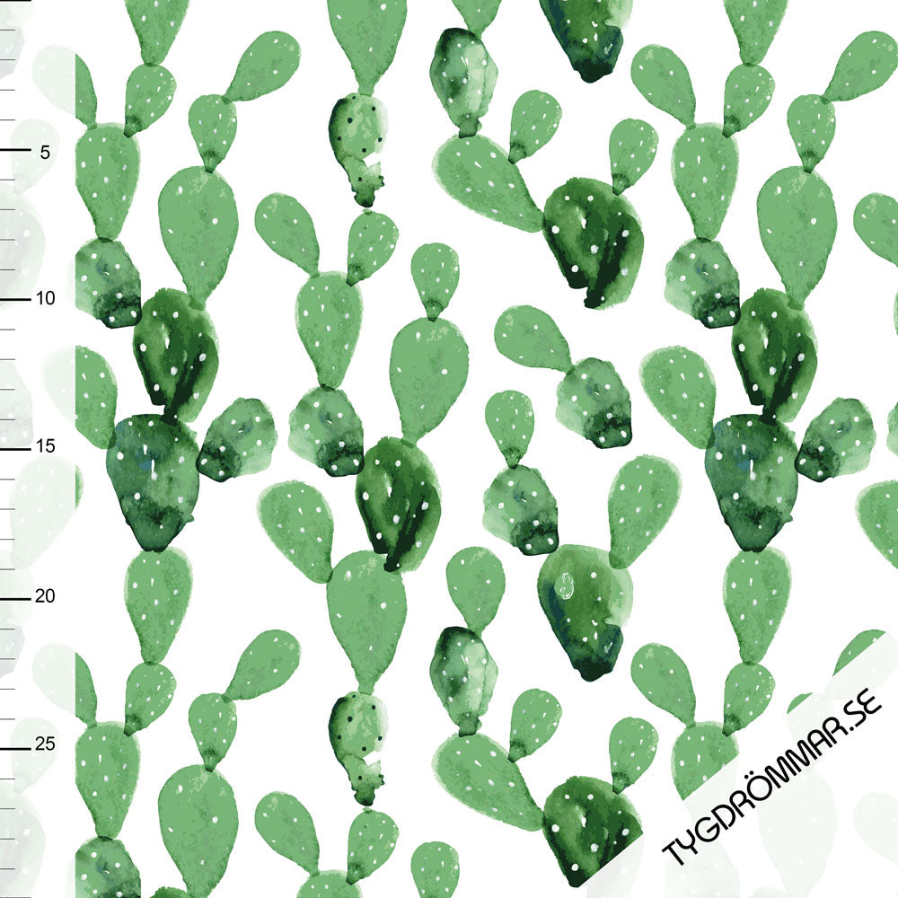 Watercolor Cactus Organic Jersey
