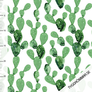 Watercolor Cactus Organic Jersey